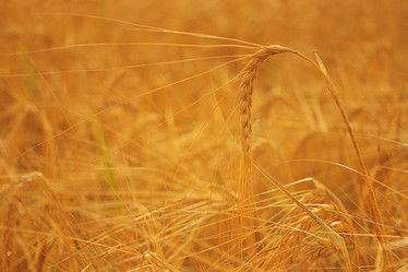 Similar image 10498566