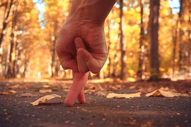 Similar image 10498585