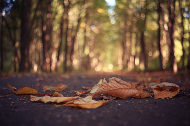 Similar image 10498587