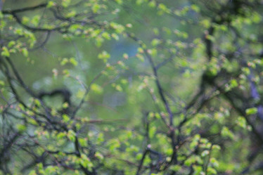 Similar image 10498594