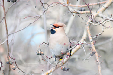 Similar image 10498603