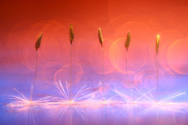 Similar image 10498604