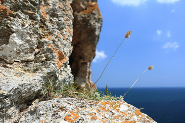 Similar image 10498606