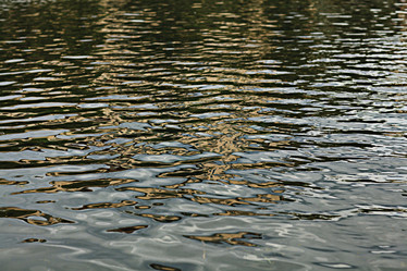 Similar image 10498607