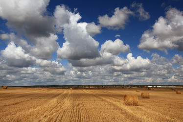 Similar image 10498616