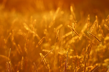 Similar image 10498626