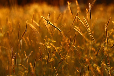 Similar image 10498627