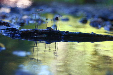 Similar image 10498629