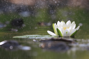 Similar image 10498630