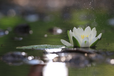 Similar image 10498631