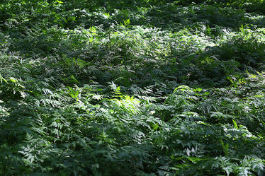 Similar image 10498633