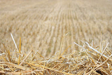 Similar image 10498639