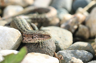 Similar image 10498646