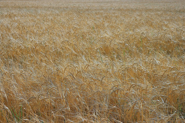 Similar image 10498651