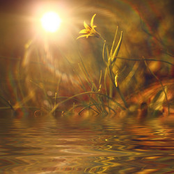 Similar image 10498652