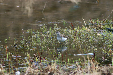 Similar image 10498654