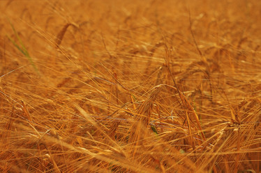 Similar image 10498655