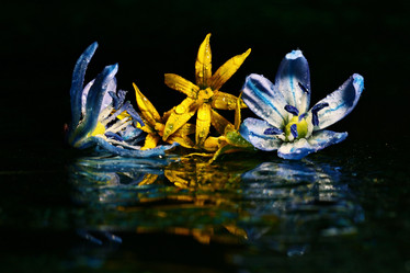 Similar image 10498656