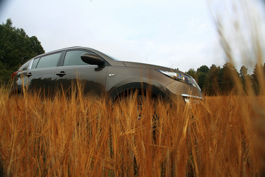 Similar image 10498662