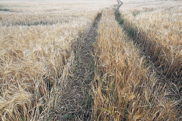 Similar image 10498664