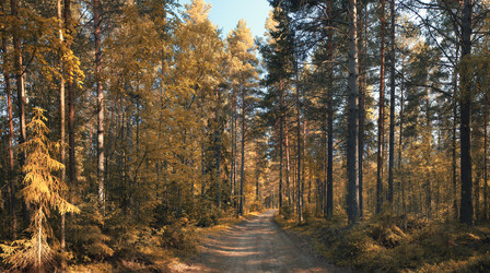 Similar image 10498665