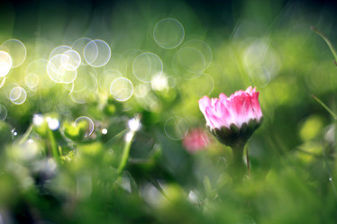 Similar image 10498666