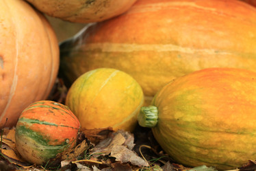 Similar image 10498670