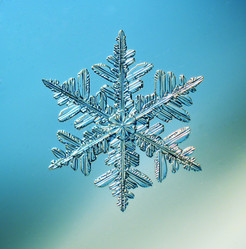 Similar image 10498672