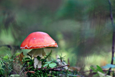 Similar image 10498674