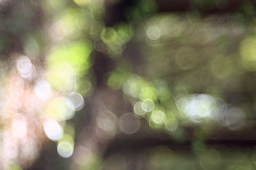 Similar image 10498675