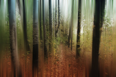 Similar image 10498677