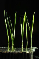 Similar image 10498679