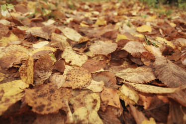 Similar image 10498680