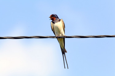 Similar image 10498684