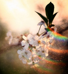 Similar image 10498688