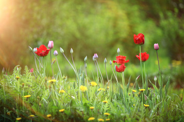 Similar image 10498689