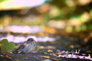 Similar image 10498690