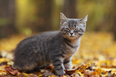 Similar image 10498691