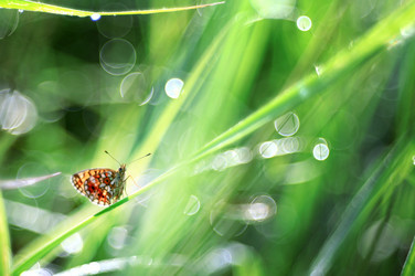 Similar image 10498692