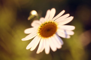 Similar image 10498701