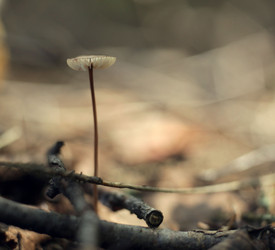 Similar image 10498706