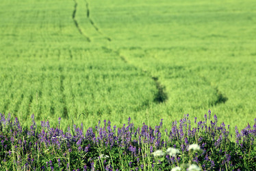 Similar image 10498709