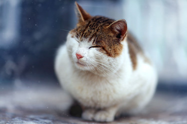 Similar image 10498714