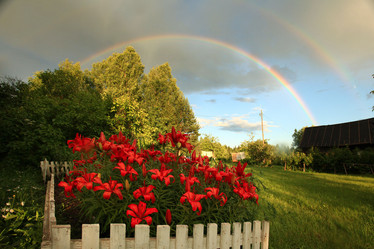 Similar image 10498715