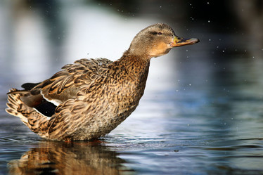 Similar image 10498720