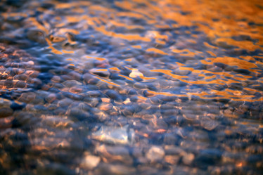 Similar image 10498722