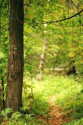 Similar image 10498725