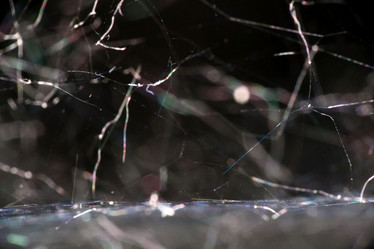 Similar image 10498728