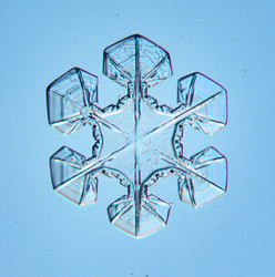 Similar image 10498731