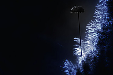 Similar image 10498733